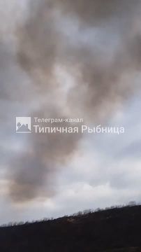 Неизвестные подожгли камыш в селе Гидирим Рыбницкого района