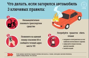 �����: ��� ������, ���� ��������� ����������