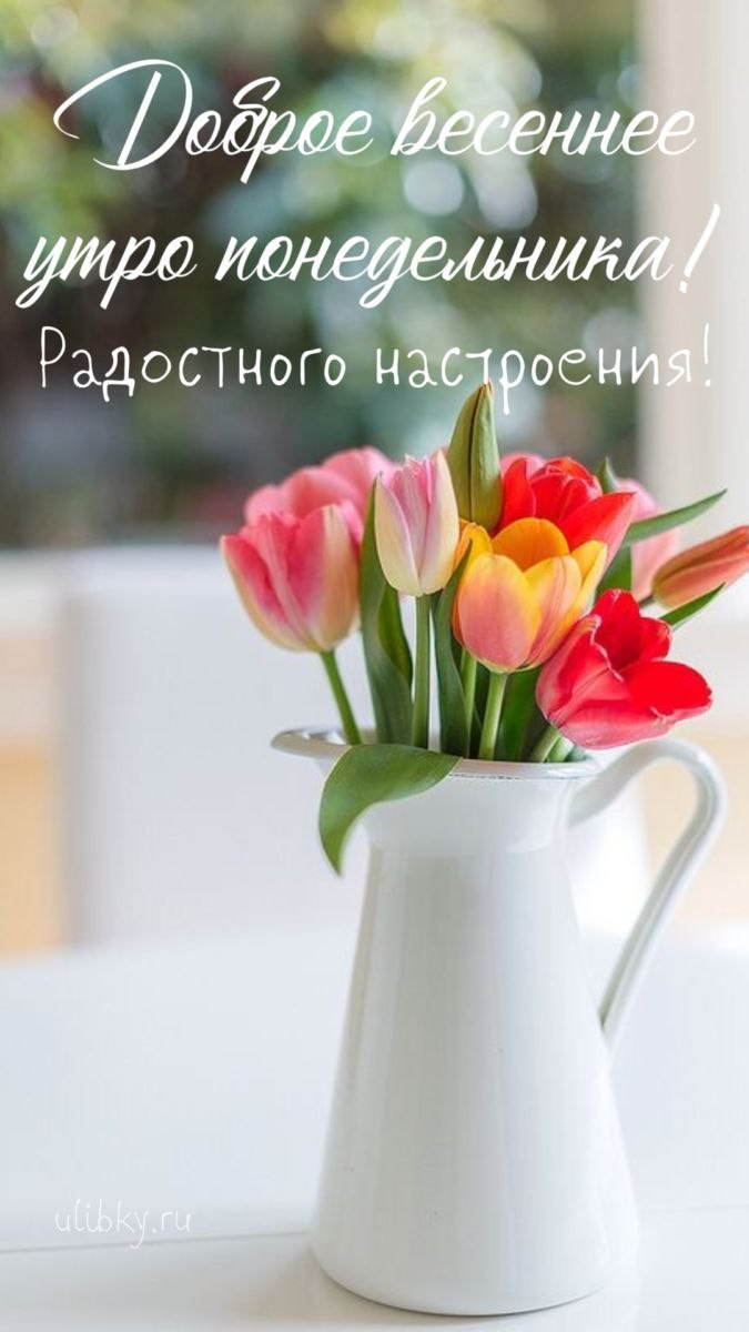 30 марта - прекрасное начало недели, и дождь не помеха