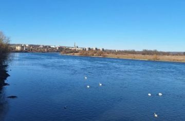 Ядовитый улов: почему рыба из Днестра стала опасной