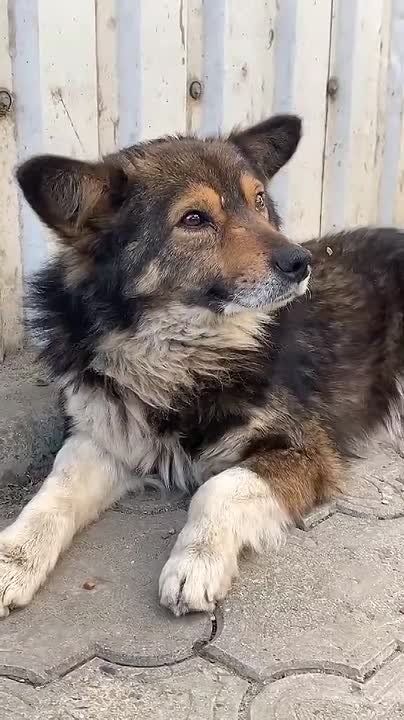 ������ ������ �������� � ���������: ������ ����������, �� ����� ��� ������ �����