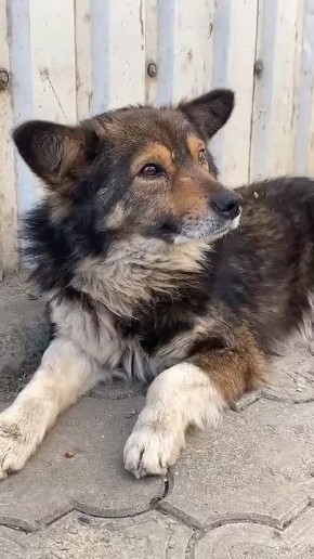 Погода решила поиграть в контрасты: солнце спряталось, на смену ему пришли дожди…