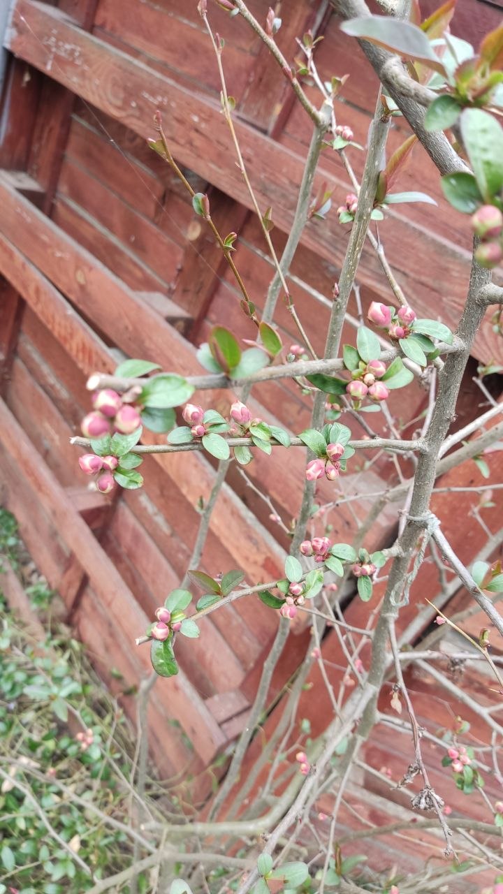 31 марта ожидается облачная погода, местами кратковременные дожди