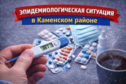 Эпидемиологическая ситуация в Каменском районе