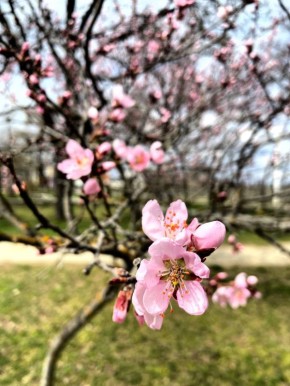 � ������� ����� � �����-������� ���������� ��� �� ������