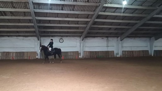 ����� ������ � �������. ������� �� ���� �����-����������� ����� ������ ���������� ������ � ���� ���� ������������ �� �������