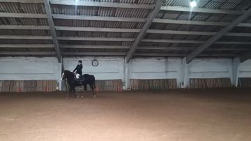 Старт сезона в «Аллюре». Сегодня на базе конно-спортивного клуба «Аллюр» состоялись первые в этом году соревнования по выездке