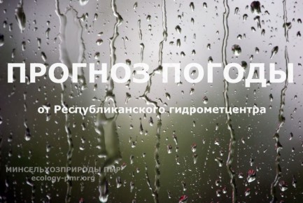 ������� ����!. ������� ������ �� �������, 31 �����