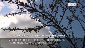 Садоводы выдохнули, когда морозы и снег, которые обещали на этой неделе, не состоялись