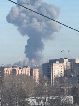 � ����������� (���������� ���������) �� ���������� ����������� ��������� ������ �����