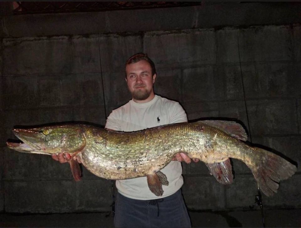 ��� �������� � ������ ������� �������� ������������������� ����