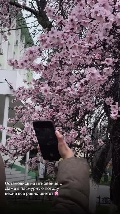 ���� � ��������� ���� ����� �� ������ ����������