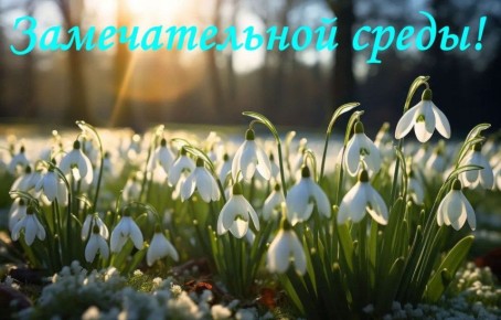 1 ������ � ������������ ����