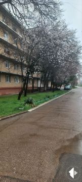 М-н Текстильщиков в столице – в дожде и в цвету