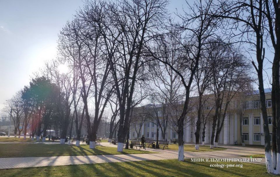 В марте в Приднестровье температура воздуха была выше нормы на 4 - 5 градусов