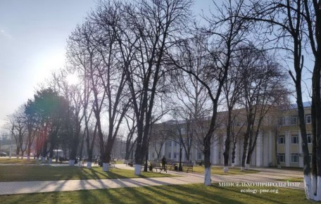 � ����� � ������������� ����������� ������� ���� ���� ����� �� 4 - 5 ��������