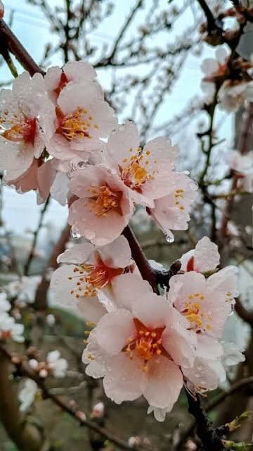 ������������ �����. ������� ������������, � ����� ����� �� ������ �������� ��� ���� � �������, ������� ��������