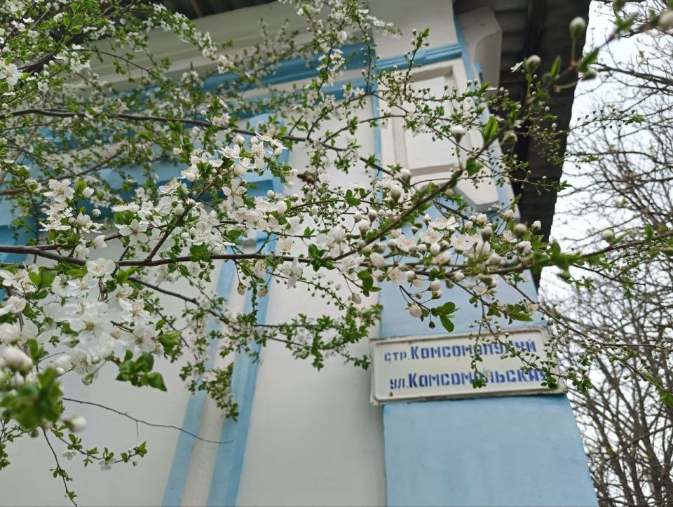 ��������� ����� �����.. �������� �� ��������� ������, ������������ ������ �����, ����� ����������� �������� �����������