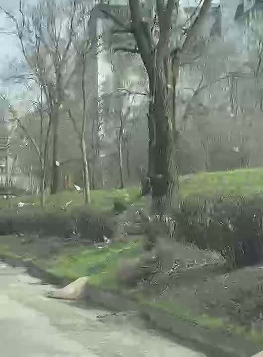 ������ ���� �������� ���, ��� �� �������� � ������� ���