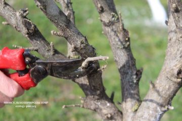 �������-������� ������ � �������������