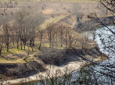 ������������ ����� � ������������� �� ���� ������� �������