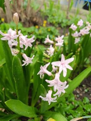 ����� ������ ������ ����� ���������� ����