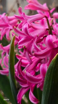 ����� �������� � ���� ����� � ����� �������� ������� ������ ��������