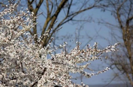 � ������������� �� ��������� ������ ��������� �������� ���������: ������� �����, ����� �����������