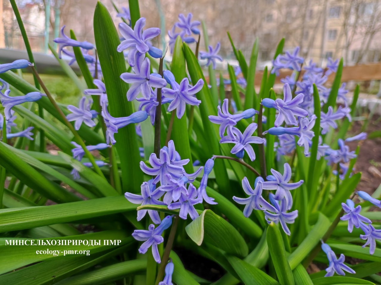 Доброго утра!. Прогноз погоды на сегодня, 3 апреля