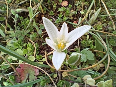 4 апреля ожидается облачная с прояснениями погода