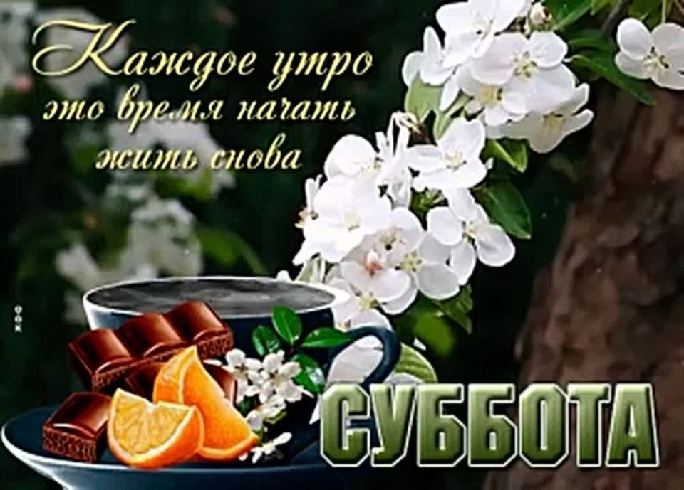 4 ������ � ����, ���������� �����������
