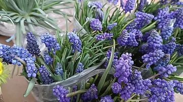 ����� �� ����������. ��������� ������� ����� � �� ������ �������� ������� ����� �� ����� ���������, ��������� ��������� � ������ �������