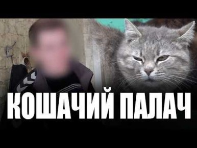 ���� �� ��� ������������. �������������� ������� ���� ����� � ��������� �� ���� �� ����� �����������