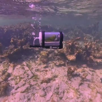 ��� ������ �������� ��� ������...������� � ������ �������� ������� ��������� ��� �� �������