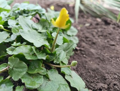 6 ������ ��������� ���������� ����������, ����� ��� �������;