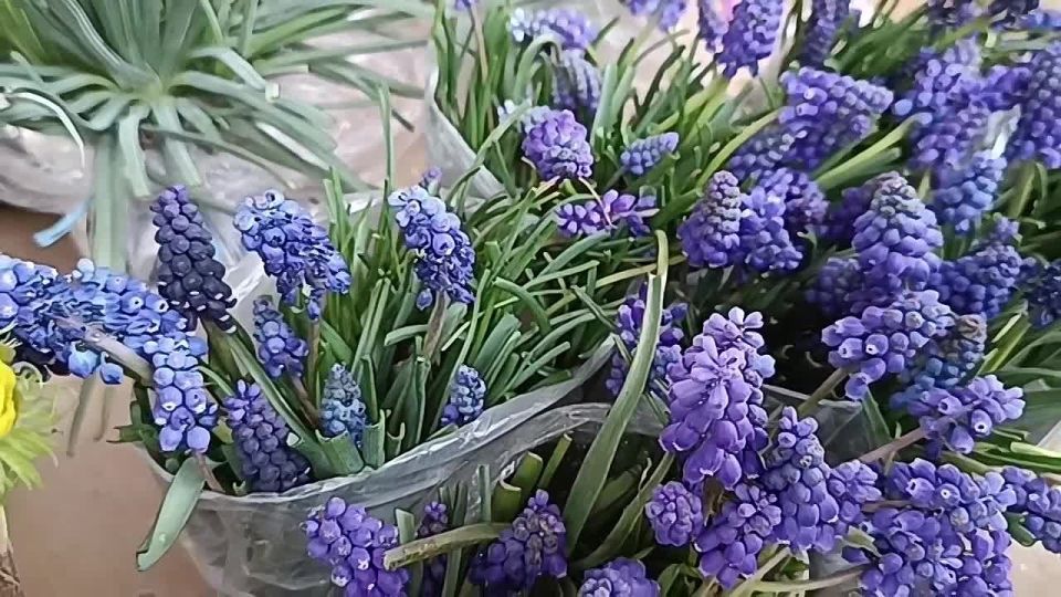 ����� �� ����������. ��������� ������� ����� � �� ������ �������� ������� ����� �� ����� ���������, ��������� ��������� � ������ �������