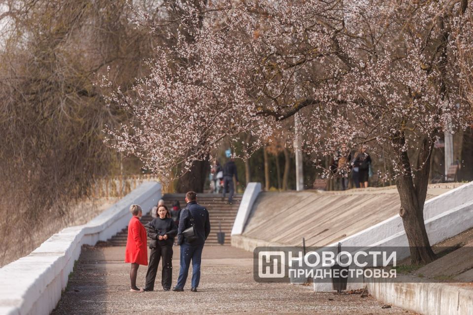 ��������������� ��������� ������������: ����� � ����� 6 ������ �� ����������� ����� ����� ��������� �� -2��