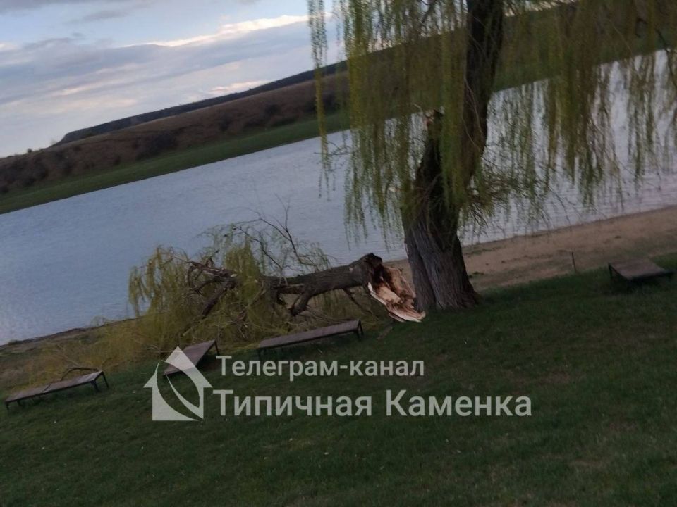 � ������� �������� ���������� �����������