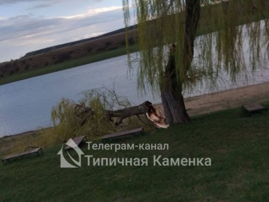 � ������� �������� ���������� �����������