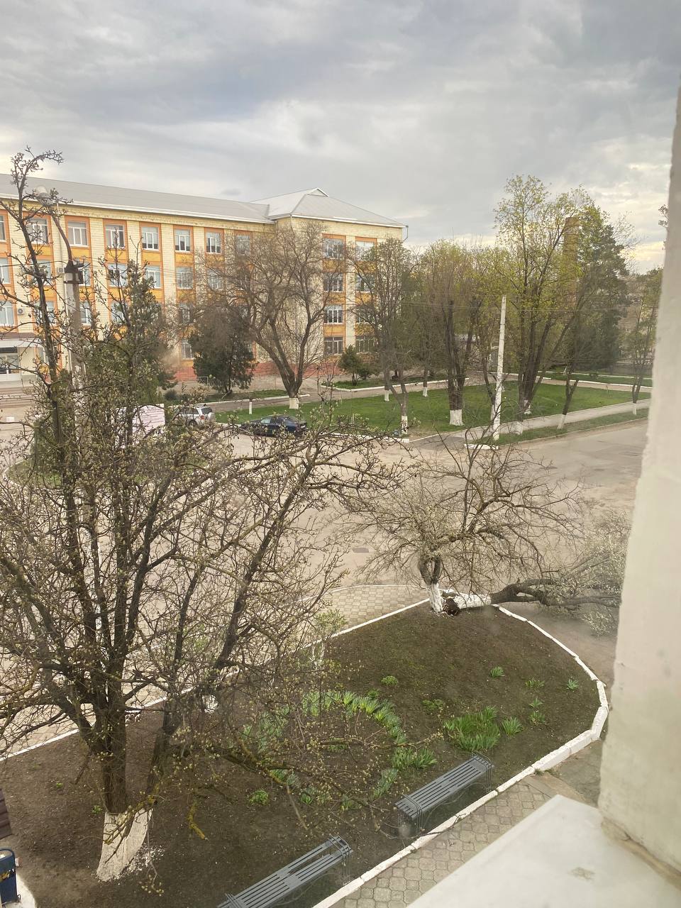 Тирасполь, Гвардейская 42 а. Упало дерево, перекрыло дорогу