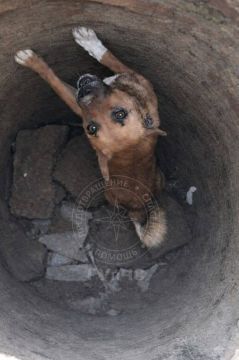 �� �������� ��������� ������� �� �� ���� �����