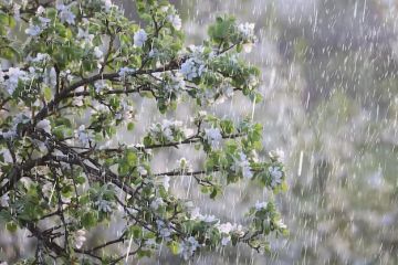 В Приднестровье ожидается резкое похолодание и дожди