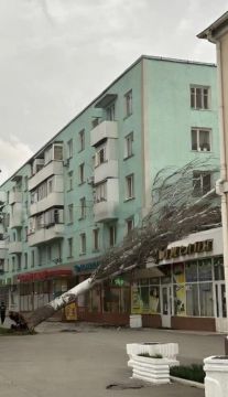 В Рыбнице дерево упало на магазин