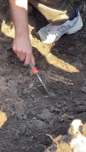 Поисковый отряд «Память и слава» и участники молодежного движения «Звезда» обнаружили в Слободзейском районе захоронение времен Великой Отечественной войны