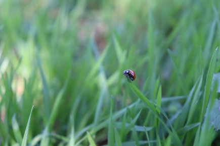 �������� ������� � ������������� �����������