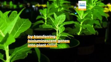 ������� ����� �������� ������