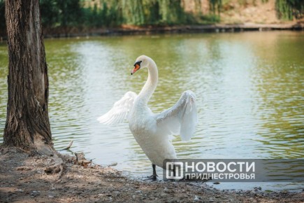 Цифра дня: в марте в Приднестровье приехало в 1,8 раза больше иностранных туристов, чем в феврале