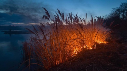 В Рыбницком районе горел камыш