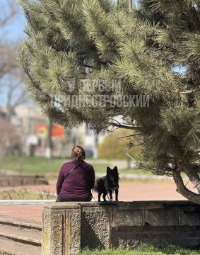 А пока тираспольчане наслаждаются солнечным понедельником