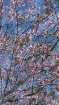 ���������� � �������� �������